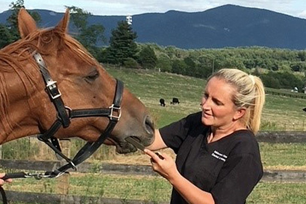 Carissa Beard stands in front of a horse that needs some dental care.