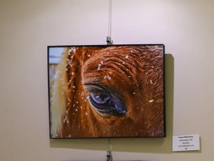 Frozen Reflections (top left), created by Kara Barb and third place winner and Memory of Mom and Baby Postpartum (right), created by Emilia Smith and Easton's Choice Winner.